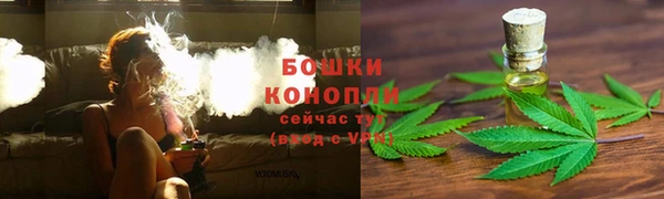 соль ск Белокуриха