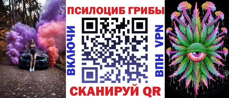 Псилоцибиновые грибы MAGIC MUSHROOMS  сколько стоит  kraken как войти  Верхняя Тура 